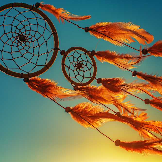 Dream Catcher 230_0.jpg