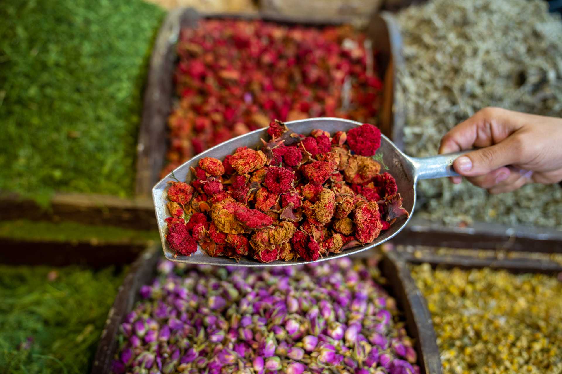 Mixed Herbs 43_0.jpg