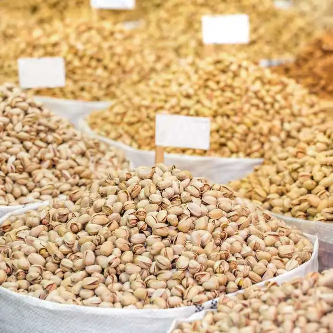 Nuts _1.webp